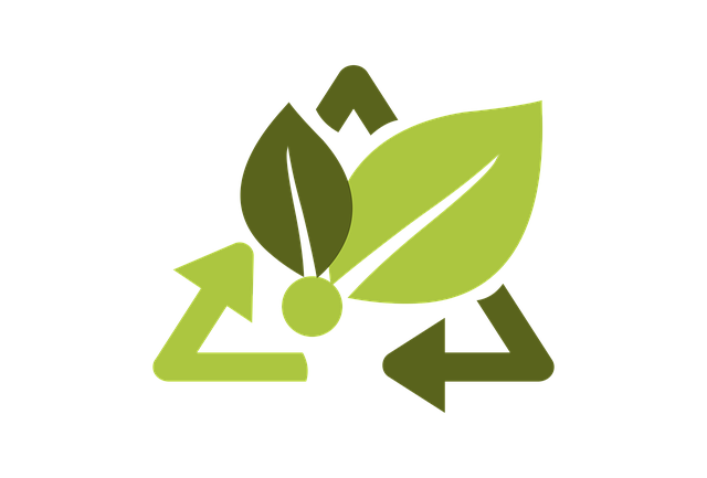 Eco-Friendlier Moms and Families: Quick Ways to Be a Little Greener Ana-Sofia DuLaney Contributor Miami Mom Collective