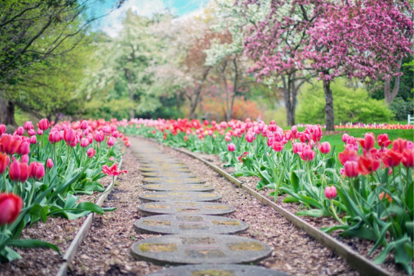 Springin' Into New Year: A Closer Look at Holi and Nowruz Sharon Sharifi Contributor Miami Moms Blog