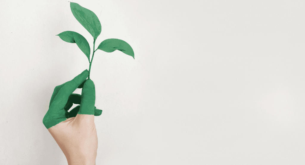 Eco-Friendlier Moms and Families: Quick Ways to Be a Little Greener Ana-Sofia DuLaney Contributor Miami Mom Collective