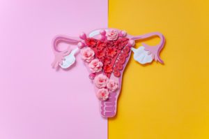 Image: An artistic rendering of a uterus, fallopian tubes, and ovaries