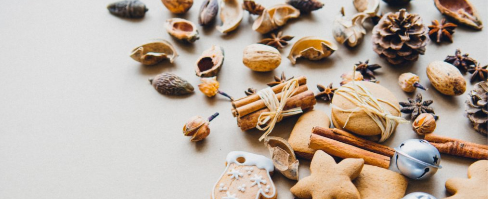 Winter Camps & Workshops The 2019 Ultimate Guide to Holiday Events & Activities Miami Moms Blog