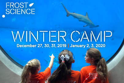 Winter Camps & Workshops Phillip and Patricia Frost Museum of Science Winter Camp The 2019 Ultimate Guide to Holiday Events and Activities in Miami Miami Moms Blog