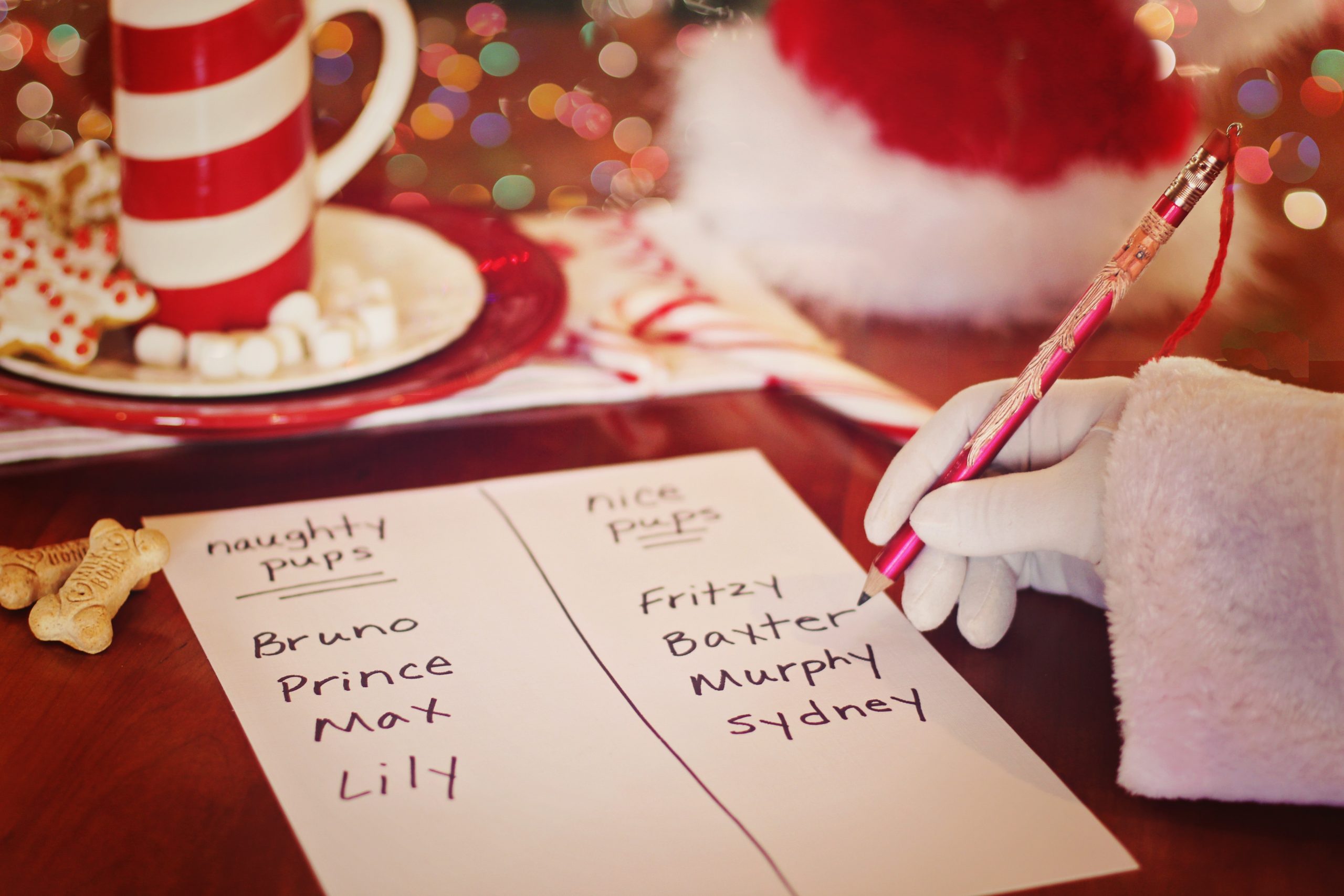 Nice, Naughty List Adita Lang Contributor Miami Moms Blog