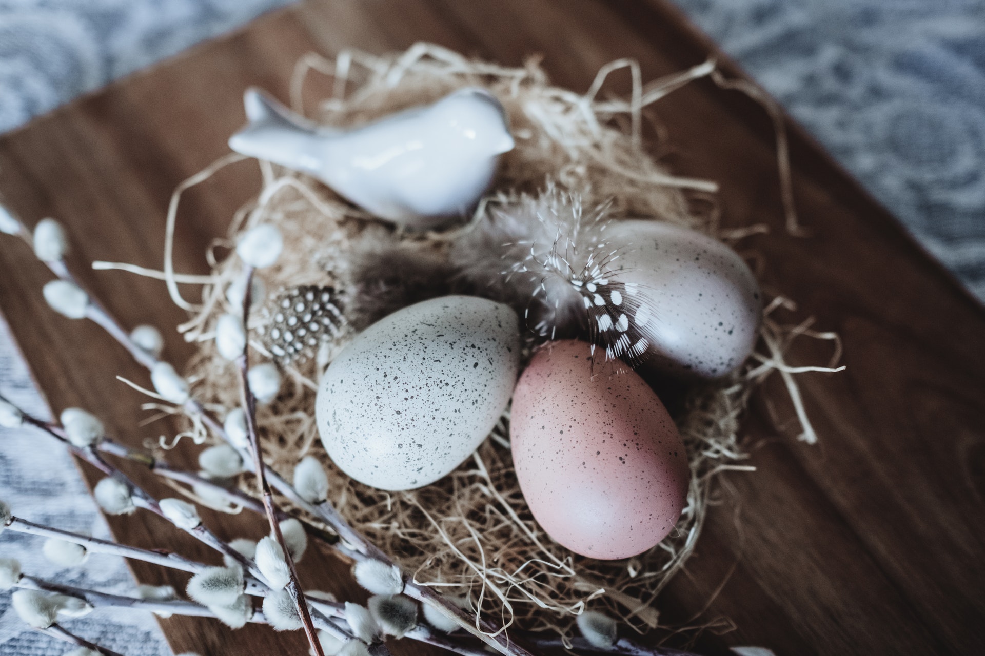 Tip-Toeing Towards an Empty Nest: Questions & Unexpected Answers Tip-Toeing Towards an Empty Nest: Questions & Unexpected Answers Becky Gonzalez Contributor Miami Moms Blog