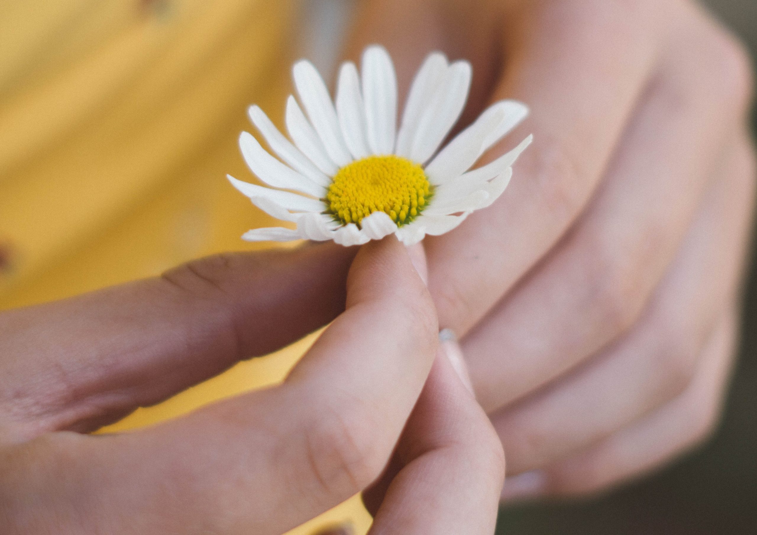 Eczema Awareness Month: Our Family's Personal Journey Gabriela Morales Contributor Miami Moms Blog