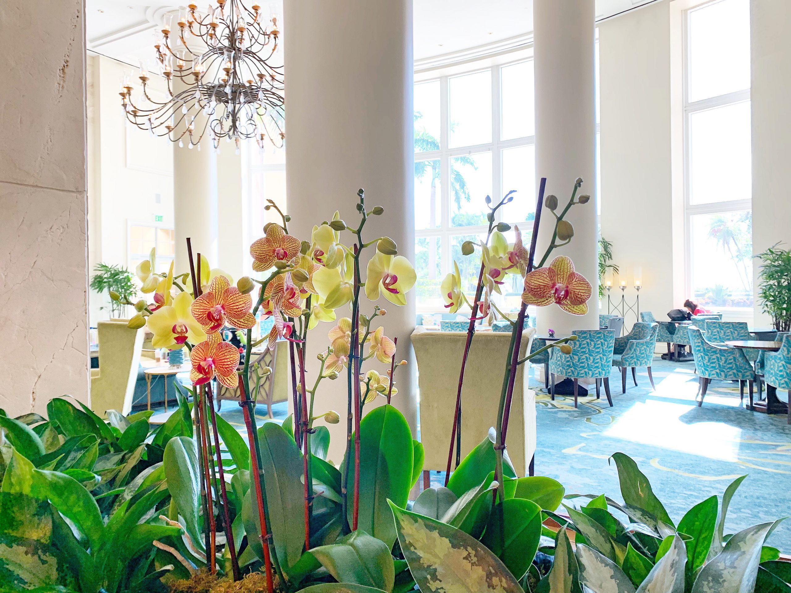 ritz Carlton key biscayne miami moms blog 