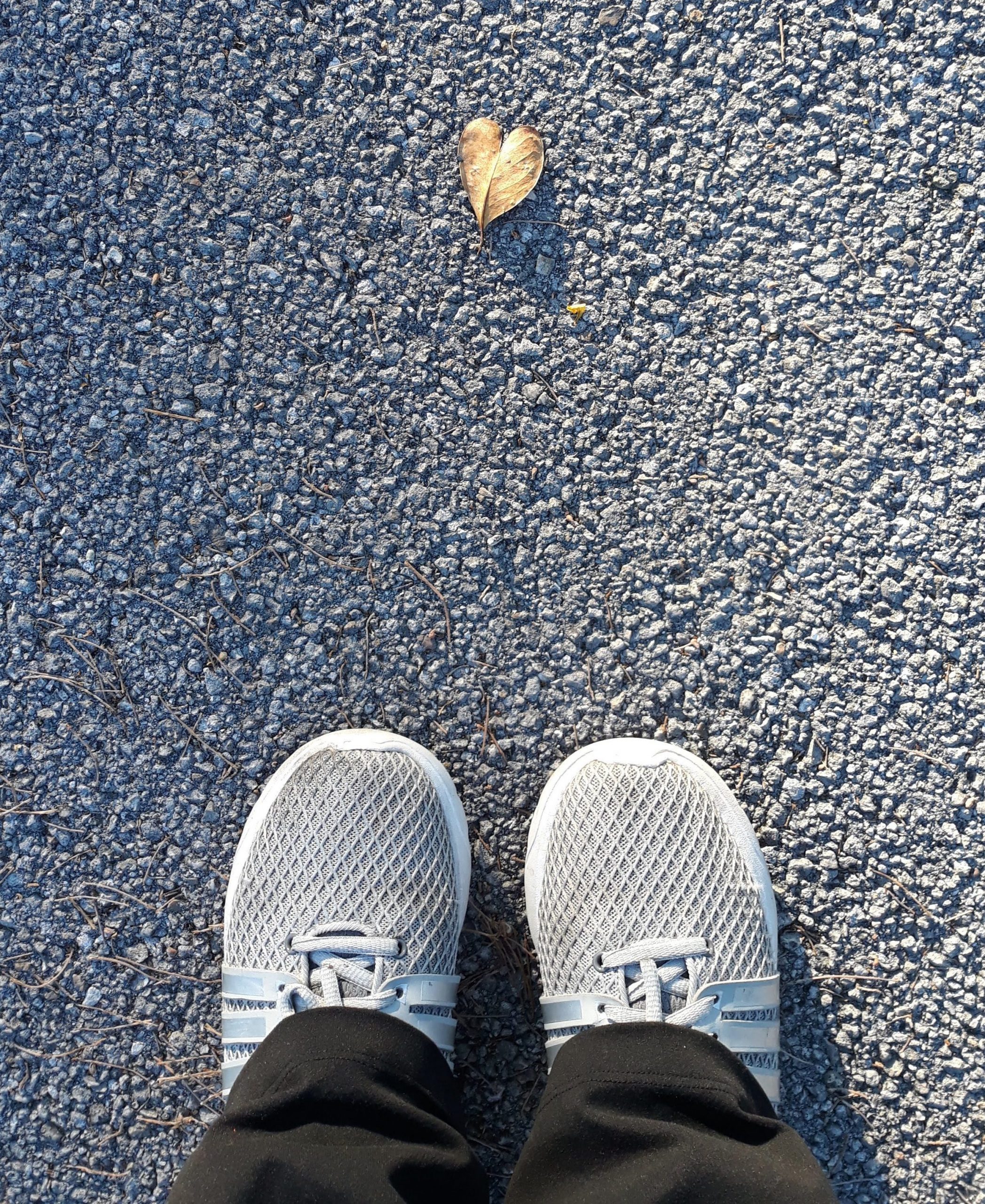 Tip-Toeing Towards an Empty Nest: Questions & Unexpected Answers Becky Gonzalez Contributor Miami Moms Blog