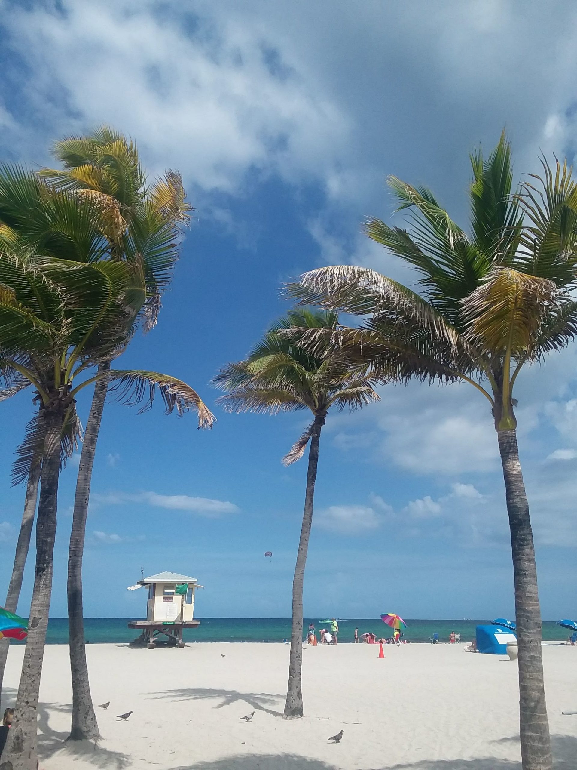 To the Weary Mom: It's Worth It Miami Moms Blog 