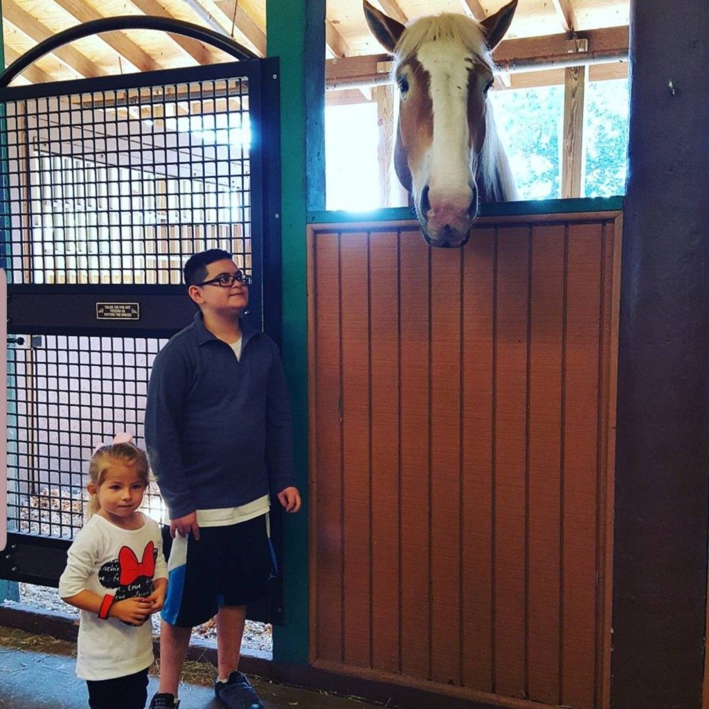 Fort Wilderness 5 Must-See Campgrounds Under 5 Hours From Miami Ailyn Quesada Contributor Miami Moms Blog