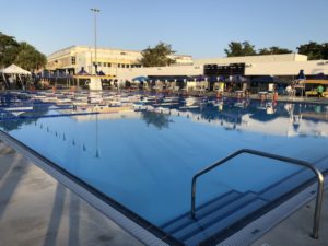 Swimming Pool In Miami