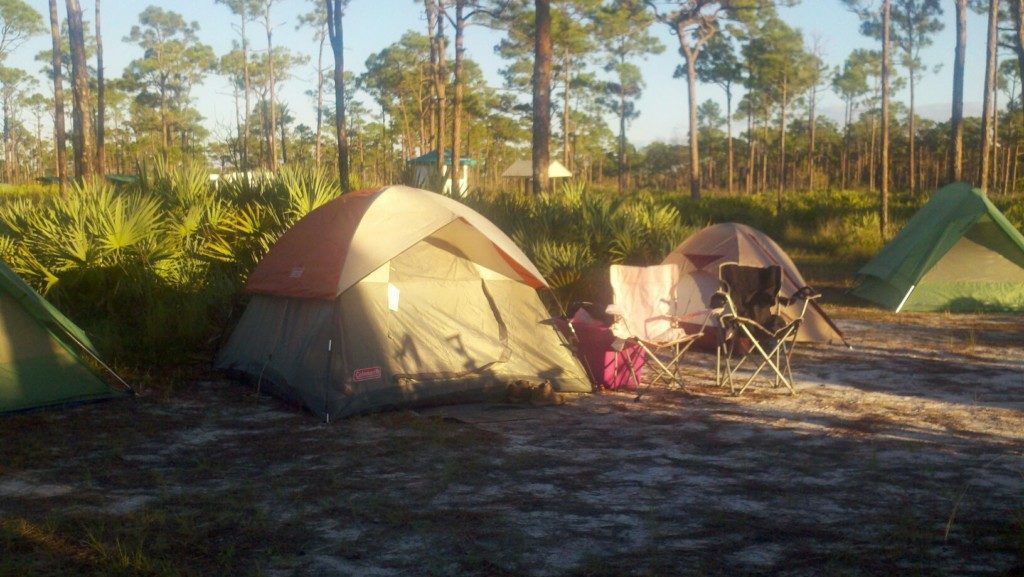 Earth Day: 10 Fun Activities You Can Do With Your Kids Lissette Fernandez Contributor Miami Moms Blog