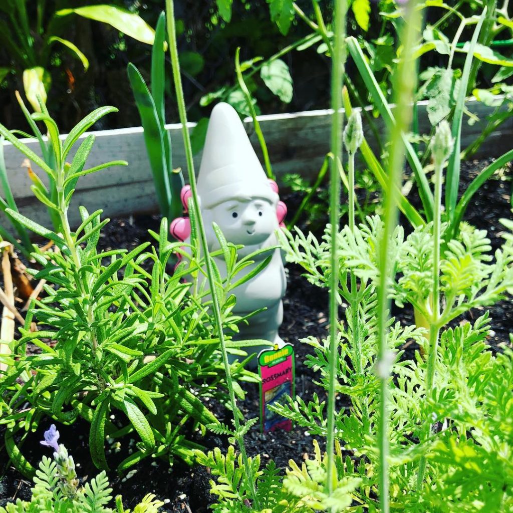 Earth Day: 10 Fun Activities You Can Do With Your Kids Lissette Fernandez Contributor Miami Moms Blog