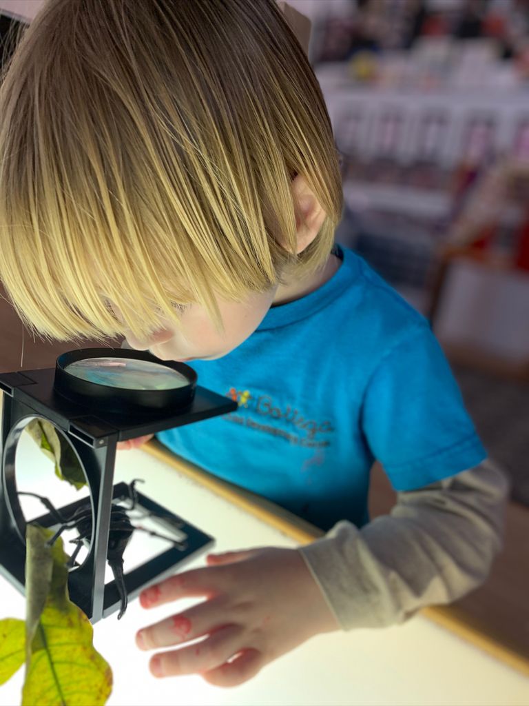 Bottega Child Development Center: An Oasis of Learning in Miami sebastian insect Bottega Child Development Center: An Oasis of Learning Here in Miami Lynda Lantz Contributor Miami Moms Blog