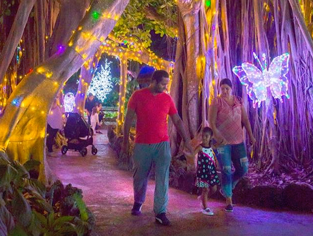 Pinecrest Gardens Nights of Lights: A Tropical Holiday Wonderland Pinecrest Gardens Nights of Lights: A Tropical Holiday Wonderland Kathy Safi Contributor Miami Moms Blog