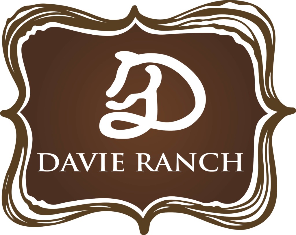 Davie Ranch Miami Moms Blog Party Planning Guide
