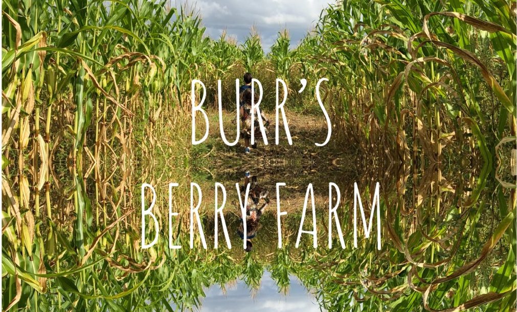 Burr's Berry Farm More than Pumpkins Miami Moms Blog