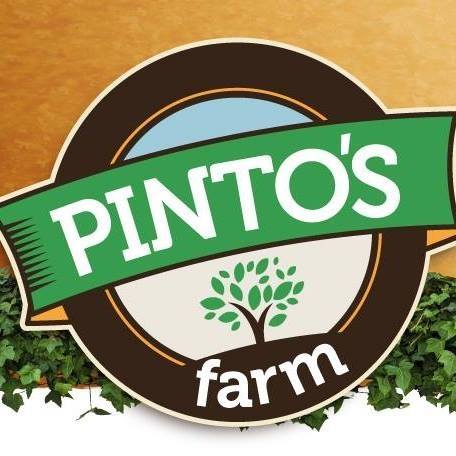 PIntos Farm MIami MOms Blog Fall Guide