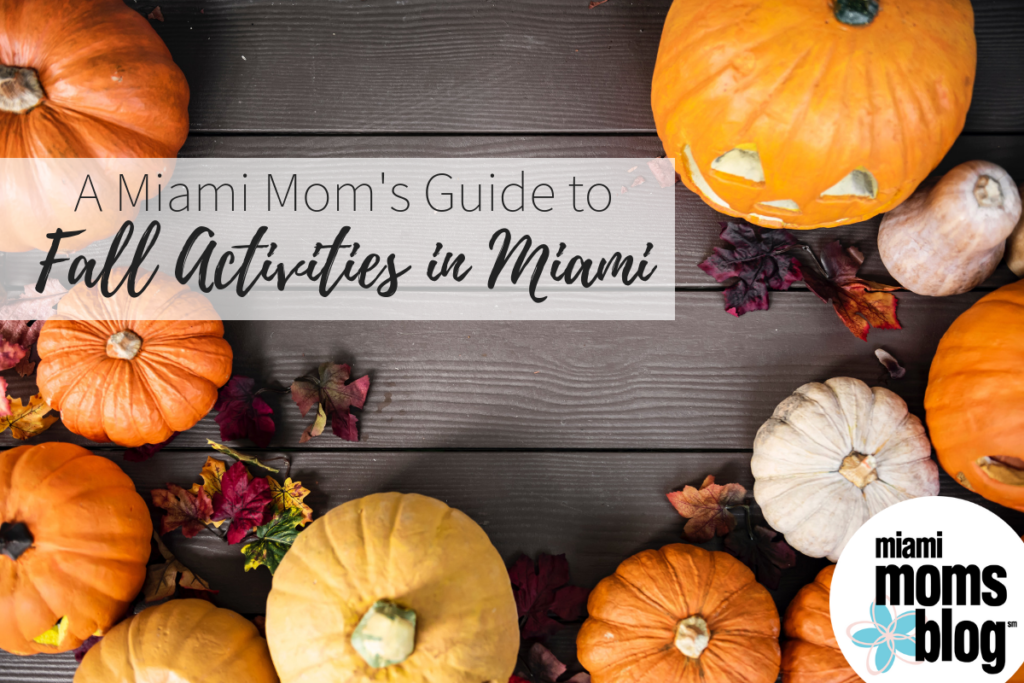 Fall Guide Activities Miami Moms Blog