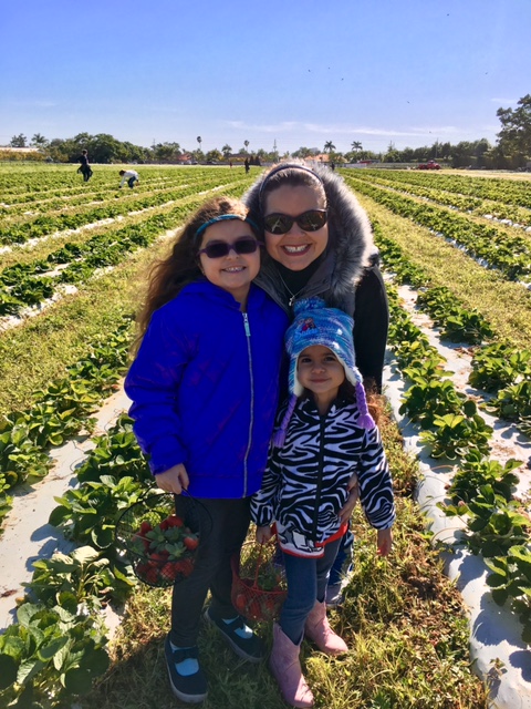 Touring the Redland with Kids: A Family Favorite Activity Strawberry picking Touring the Redland with Kids: A Family Favorite Activity