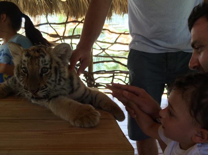 ZWF New Adventures: Miami is a Great Place for Curious Kids Mariela Bonomi Contributor Miami Moms Blog