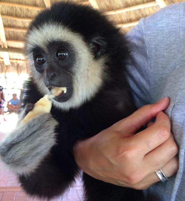 New Adventures: Miami is a Great Place for Curious Kids Mariela Bonomi Contributor Miami Moms Blog