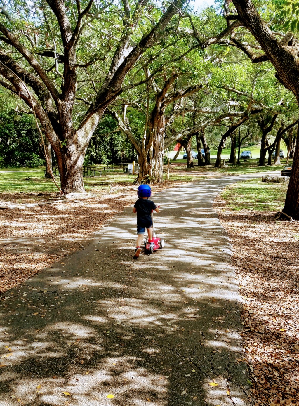 My 5-year old son riding his scooter during some recent time together at Greyolds Park Miami Moms Blog