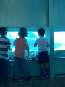 Miami Seaquarium Miami Moms BLog 
