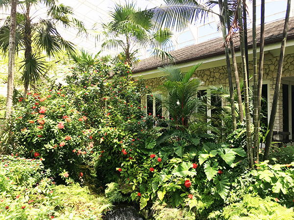 Tres lugares para explorar con los niños en Miami Fairchild Tropical Botanical Explorar con los niños este jardín de mariposas en Miami será una experiencia mágica Garden explorar con los ninos Miami Moms Blog