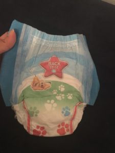 Pull Up s Potty Training Miami Moms Blog