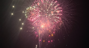 Image: Red and white fireworks against the night sky
